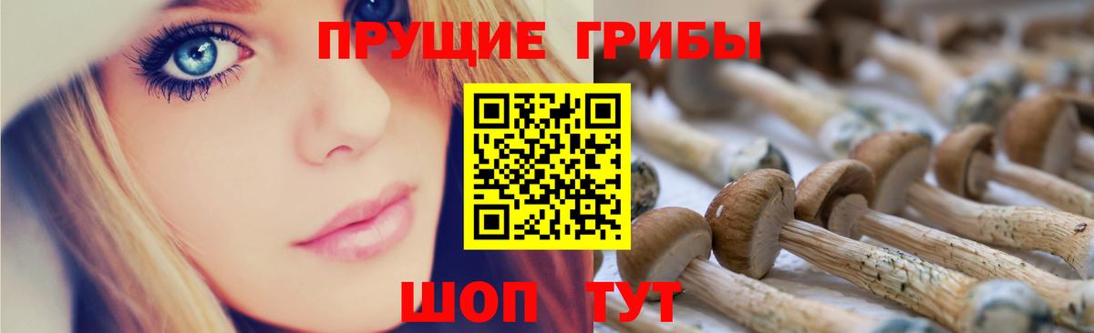 Галлюциногенные грибы MAGIC MUSHROOMS  Вход с VPN  Кохма 